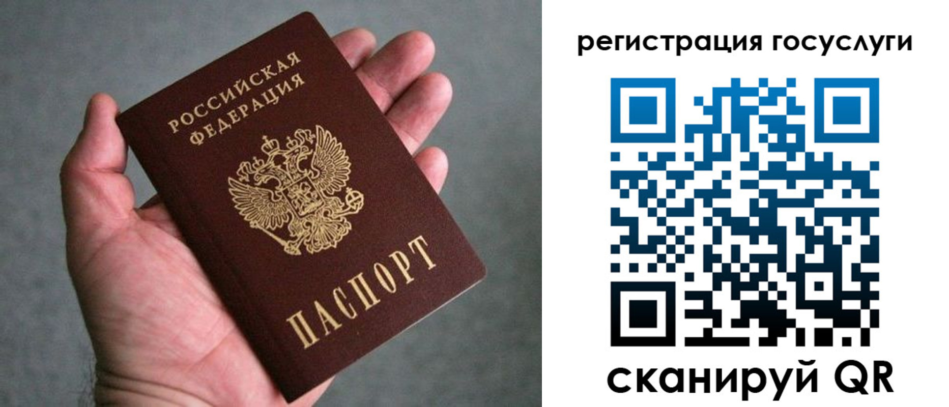 прописка поиск в Мурманской области